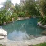 Natural Pool Design by Landmark Pools