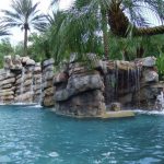 Natural Pool Design by Landmark Pools